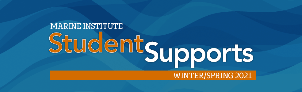 MI Student Supports Winter 2021 - banner