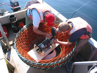 Trawl-mounted camera