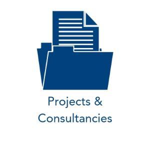 MI International – Projects and Consultancies