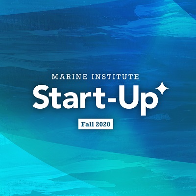 MI Start-Up Fall 2020